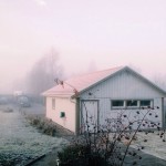 Foggy and frosty